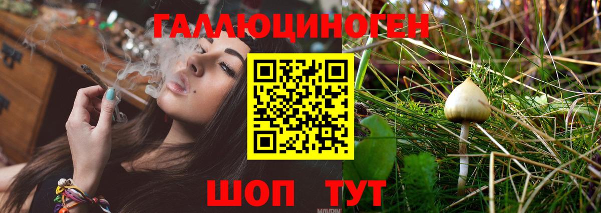 Галлюциногенные грибы мухоморы Сланцы