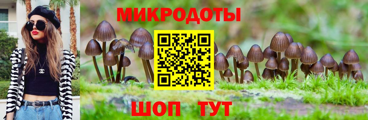 Псилоцибиновые грибы мицелий  Псилоцибиновые грибы Magic Shrooms  Вход с VPN  Сланцы 